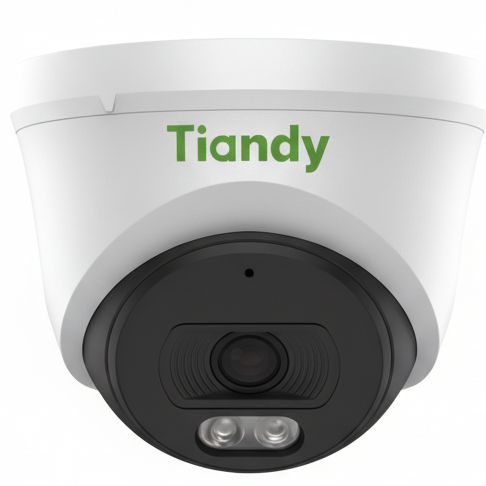 Tiandy IP Turret Camera: Advanced 1080P (4MP) Classification (Human & Vehicle)